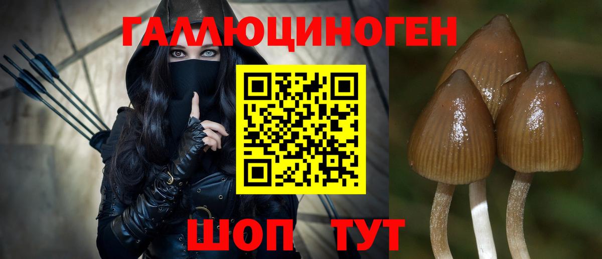 Псилоцибиновые грибы Psilocybe Мценск