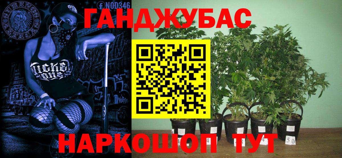 Мценск  Бошки Шишки тримм  Бошки Шишки гибрид  Вход с VPN  Марихуана LSD WEED  Каннабис гибрид 